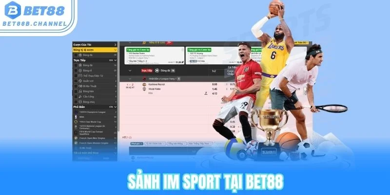 Giao diện của sảnh IM thể thao