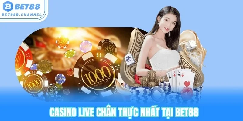 Các yếu tố cấu thành nên một buổi Live Casino