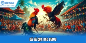 đá gà cựa dao