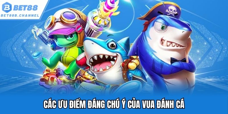 Các ưu điểm đáng chú ý của vua đánh cá